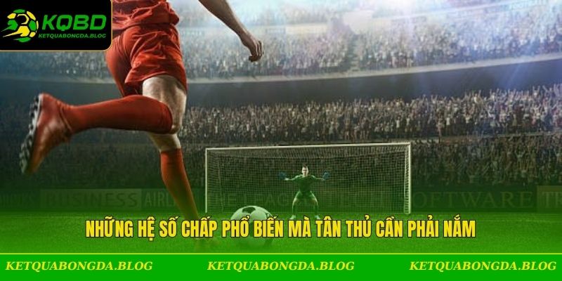 Những hệ số chấp phổ biến mà tân thủ cần phải nắm