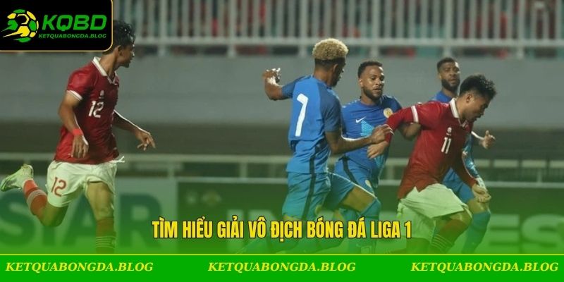 Tìm hiểu giải vô địch bóng đá Liga 1
